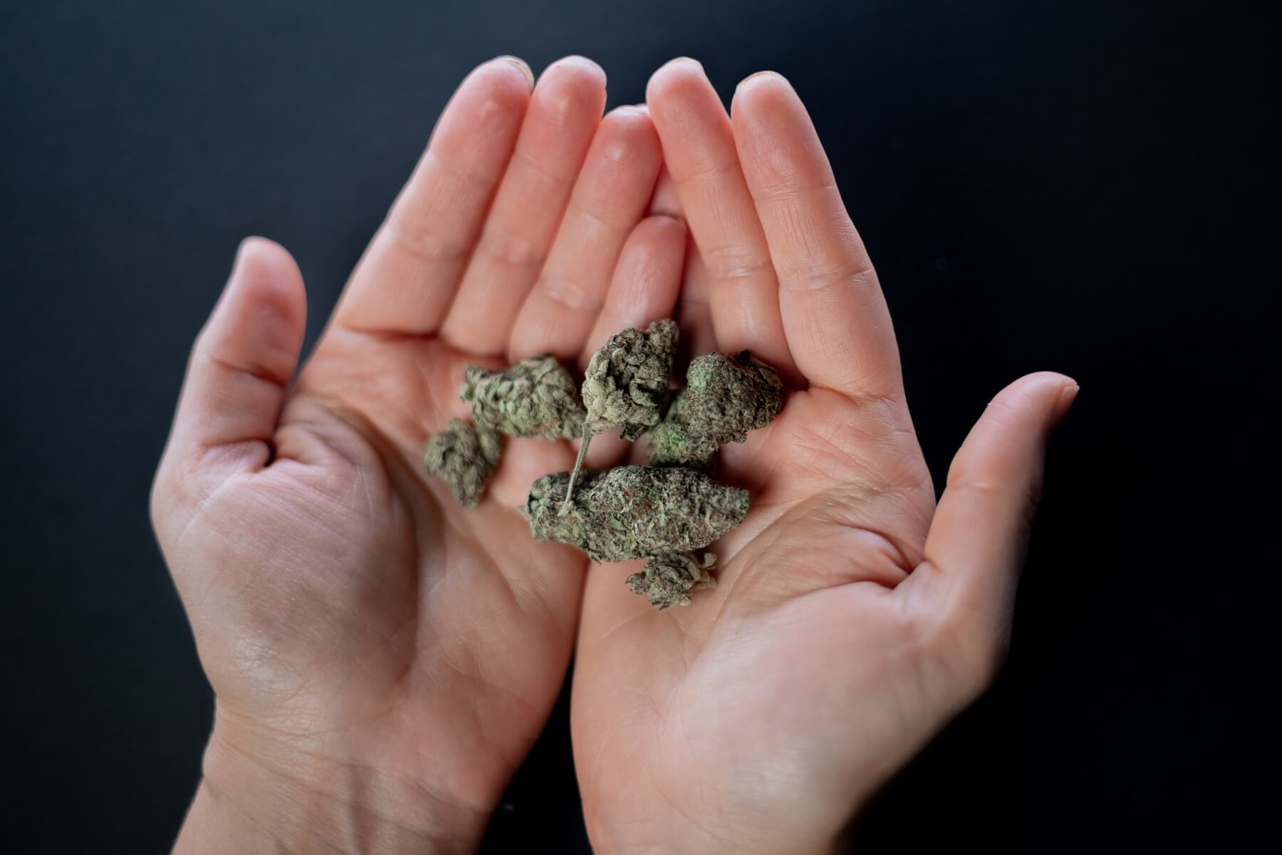 Mejores productos cbd