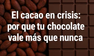 La crisis del cacao: por qué el chocolate se está encareciendo en todo el mundo